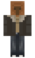 Handwe minecraft skin
