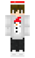 EntireMammal881 minecraft skin