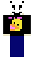 PanAmkA minecraft skin