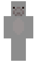 Mildsen minecraft skin