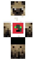 Dmoral21 minecraft skin