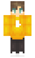 TractorRacer529 minecraft skin
