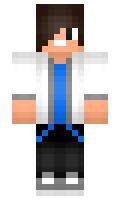 Lose minecraft skin