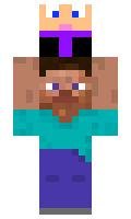 SwordSurvivor minecraft skin
