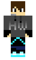 GooseHacks minecraft skin