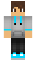 skipbee minecraft skin