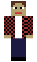 William21 minecraft skin