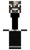 569c3210ef2642 minecraft skin