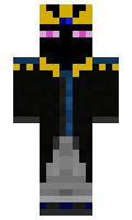 TripC minecraft skin