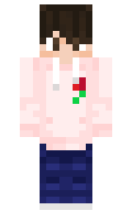 DanTheMan1180 minecraft skin