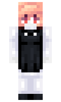 hrtmr401 minecraft skin