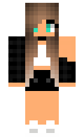Ballot minecraft skin