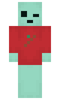 warmtr33 minecraft skin
