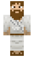 Nisoft minecraft skin