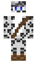 Parsyfall minecraft skin