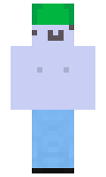 5720b285101b19 minecraft skin