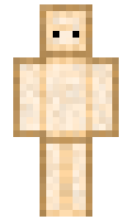 ZigZiggyZag minecraft skin