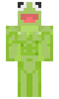 Iiirrree minecraft skin