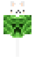 574d665db048ca minecraft skin