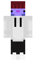 57851dbece5197 minecraft skin