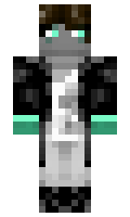 579837122ac5cd minecraft skin