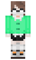 APCEH minecraft skin