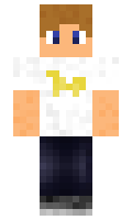 ali minecraft skin