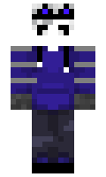 dolto minecraft skin
