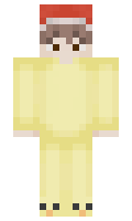 france100000 minecraft skin