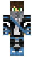 djsi minecraft skin