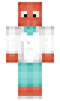 Haphhazard minecraft skin