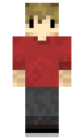 Grian minecraft skin