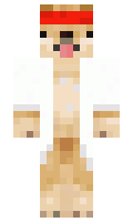 5842957b3eaddb minecraft skin