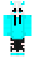 Petr6910 minecraft skin