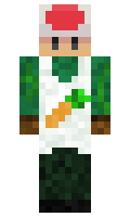 58a1340cf9401c minecraft skin