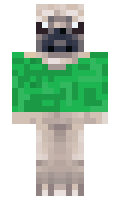 smnsfg minecraft skin