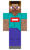 UnB minecraft skin