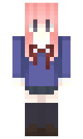 udc minecraft skin