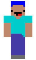 Survival123A minecraft skin