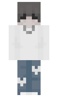 Simulated minecraft skin