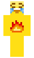 ancil minecraft skin
