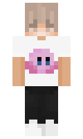 Negazione minecraft skin