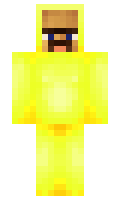 noh minecraft skin