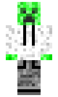 TheNeKo33 minecraft skin