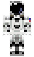 rawritsashley17 minecraft skin