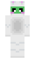 599b293ba0aaa9 minecraft skin