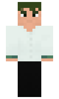 WERTER2 minecraft skin