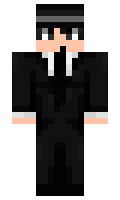 sag minecraft skin