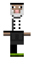 INnoVation minecraft skin