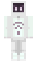WIFI minecraft skin